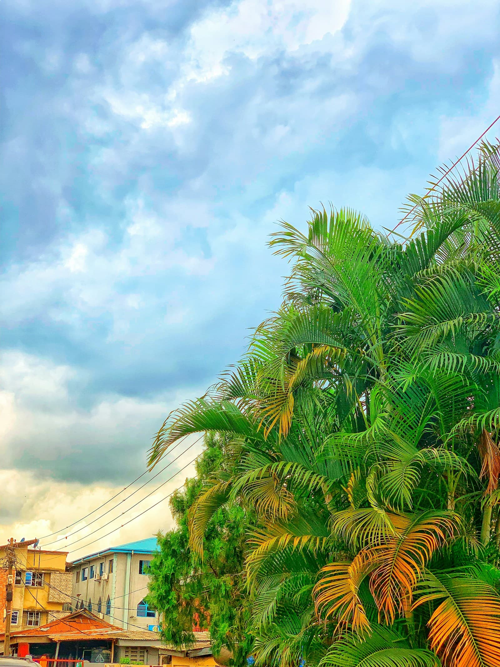 A residential building behind palm trees in Lagos